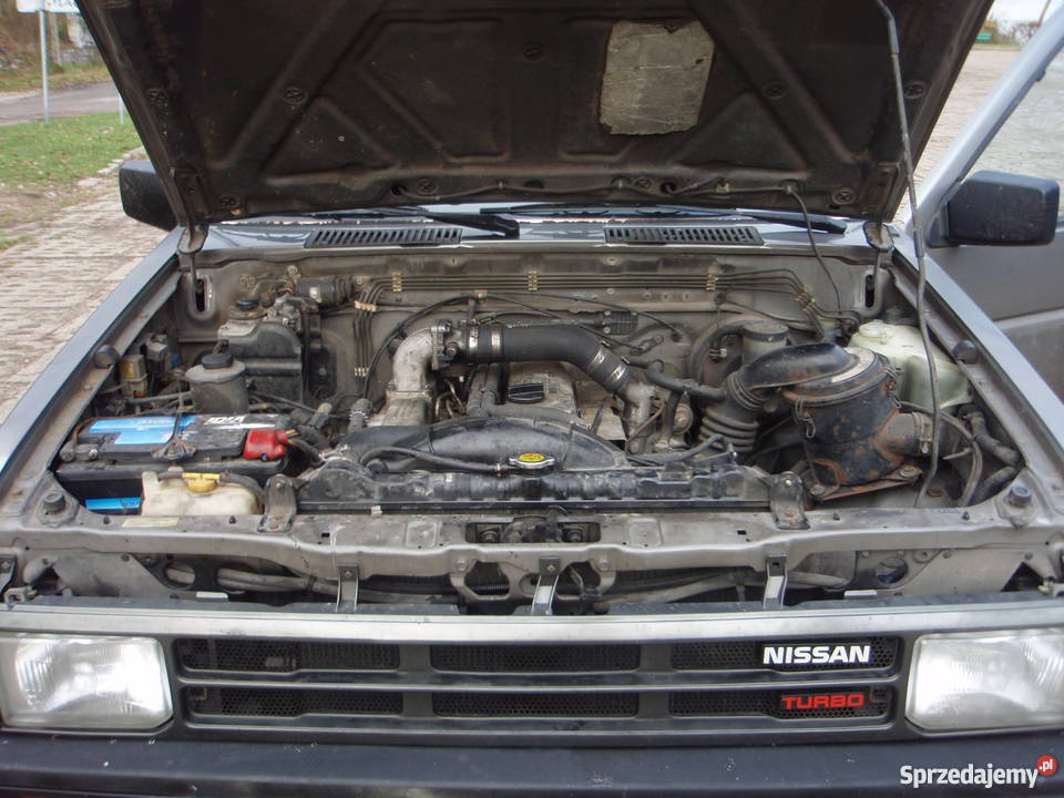 Nissan Terrano 27 TD w orginalnym stanie homologacja na ciężarowe Gdynia