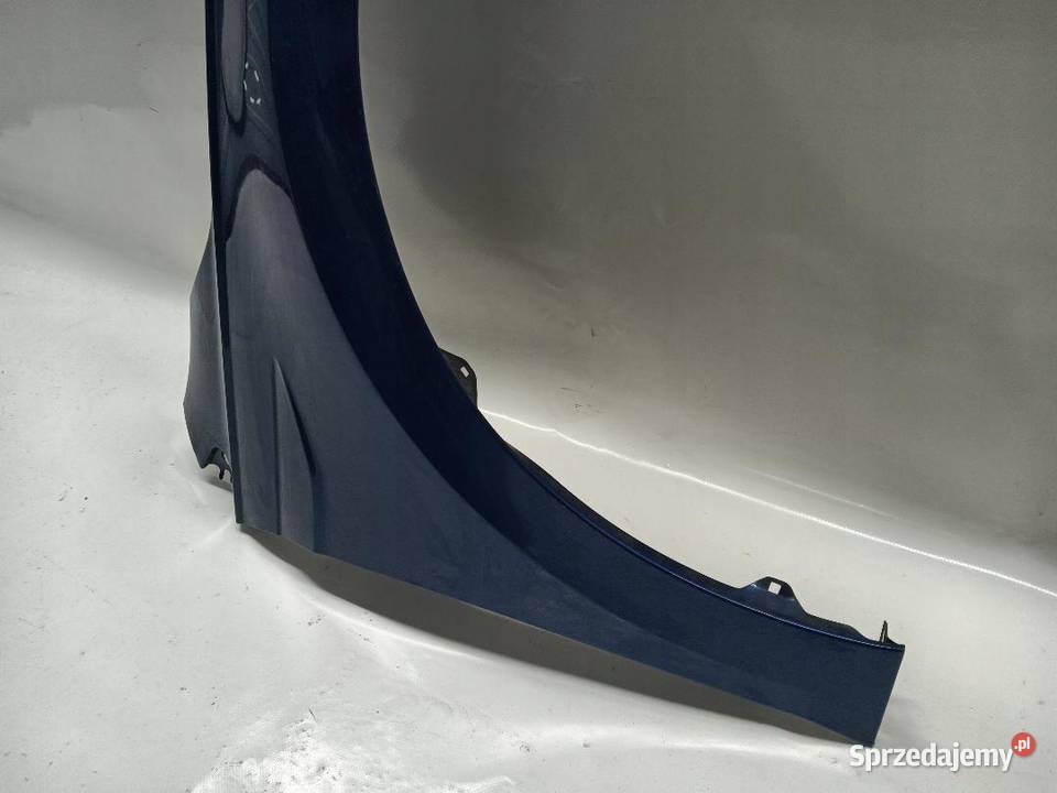 BŁOTNIK PRAWY PRZÓD PRZEDNI VW POLO 6 2G0821106 wielkopolskie