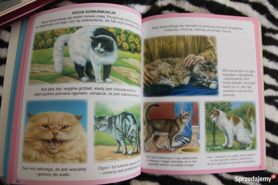 Świat w obrazkach dzieci Luboń sprzedam