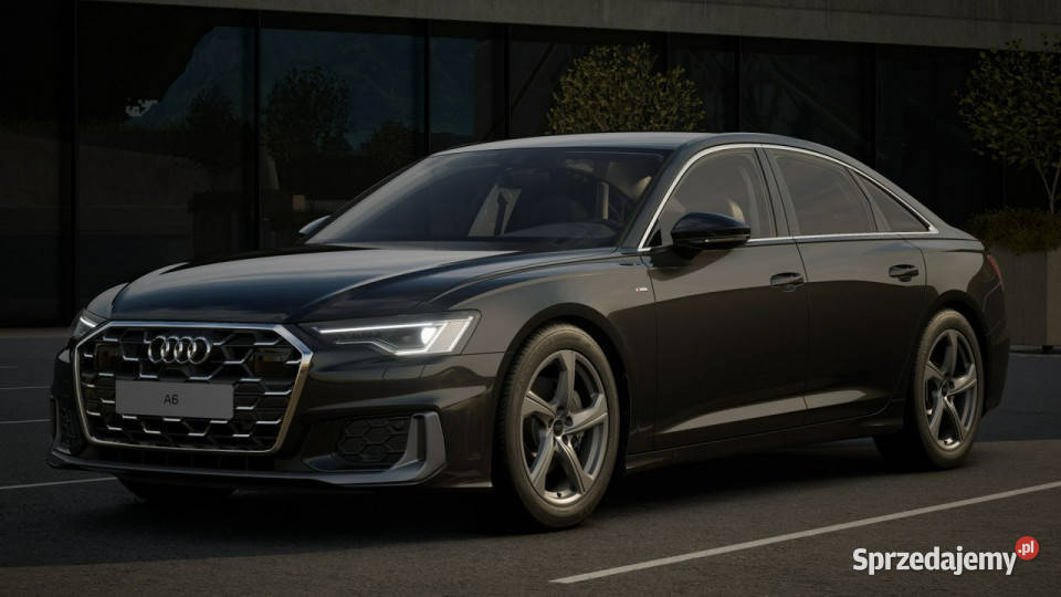 Audi A6 Toruń