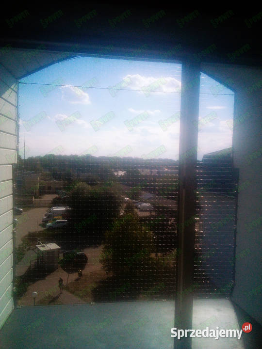 Siatka kota na okno bez wiercenia Warszawa