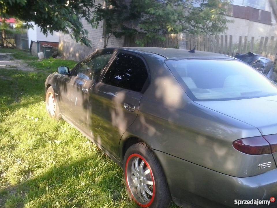 Fajna alfa zielony Chojna