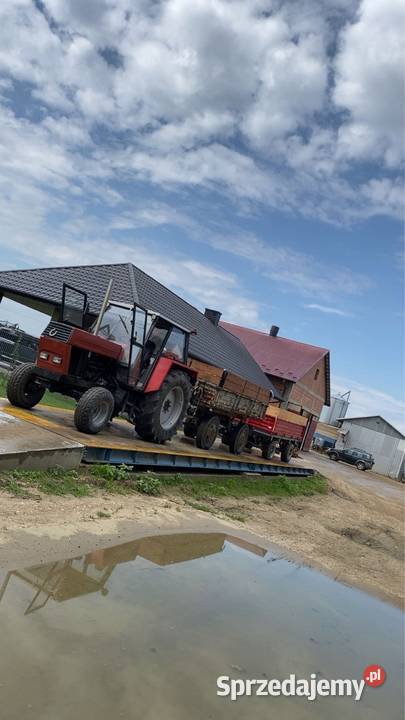 Zetor Crystal 8011 Mielec