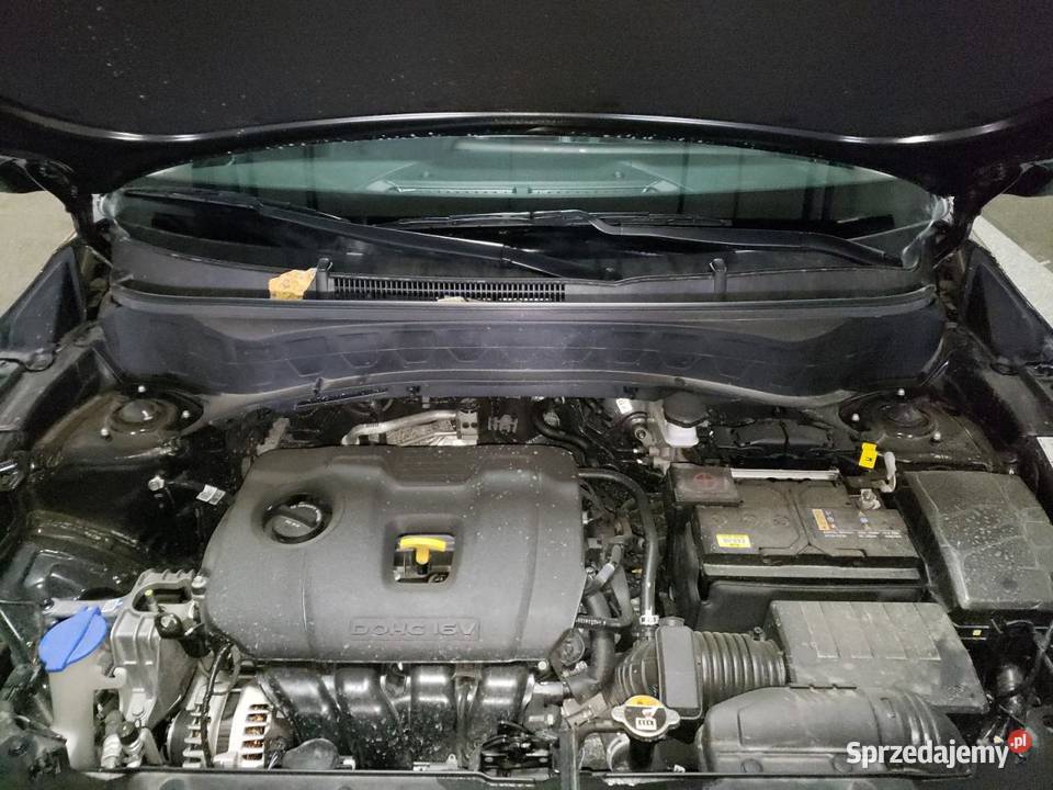 Kia Seltos 2024 automatyczna Kielce