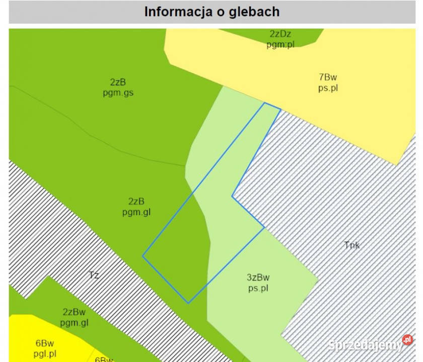 Działka 4295 m złożony wniosek o WZ na dwa domy Dzietrzychowice