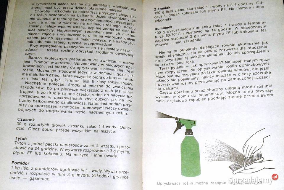 Balkon w kwiatach Anita PaszkiewiczTokarczyk Chełm