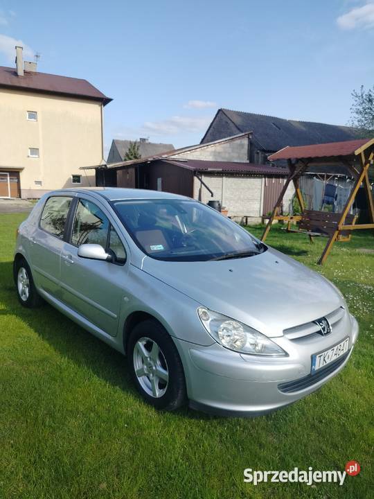 Peugot 307 1.6 benzyna