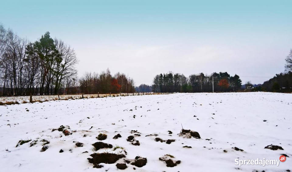 Działka pod Kazimierzem16ar spokojna okolica 20m Kazimierz Dolny