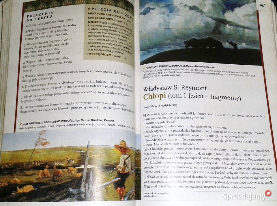 Zrozumieć tekst Zrozumieć człowieka 22 D Chełm sprzedam