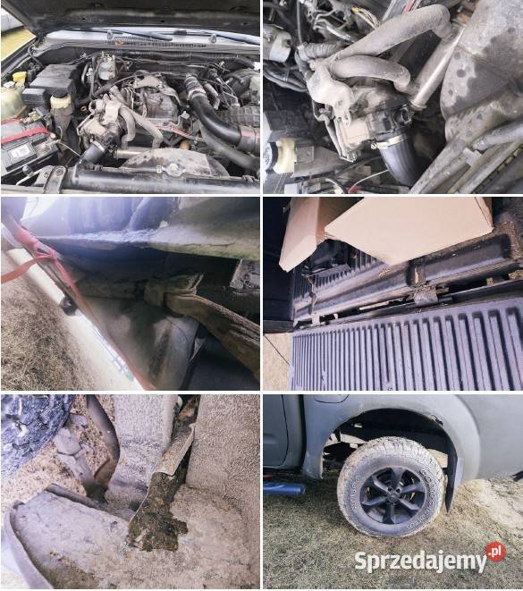 Syndyk sprzeda z wolnej ręki Poznań