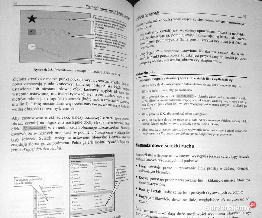 Microsoft PowerPoint 2003 każdego Teresa Górny miękka Pozostałe Chełm sprzedam