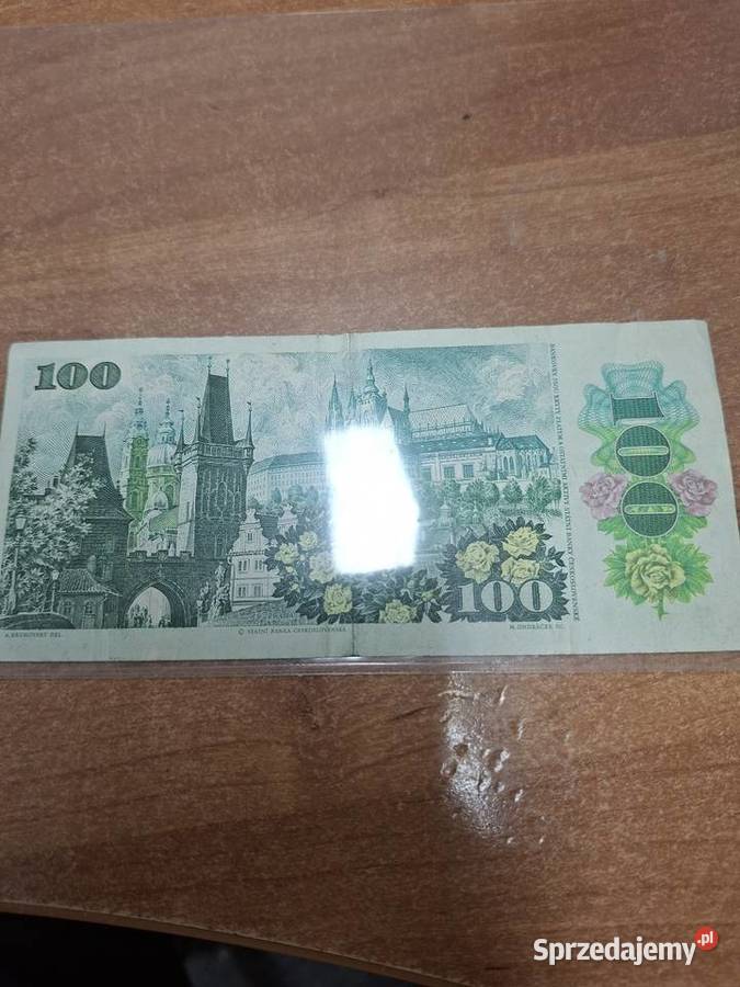 Banknot unikat Nowa Sól