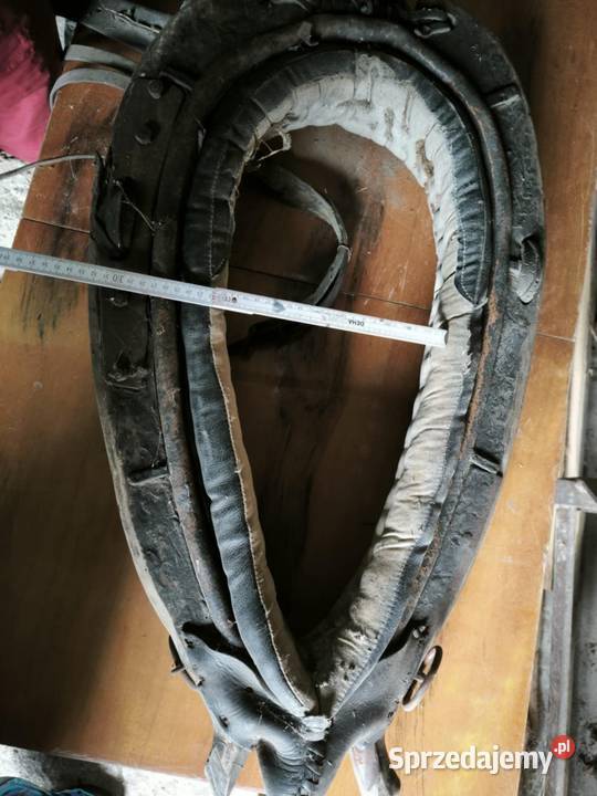 Chomonto skórzane Dla koni Pajęczno