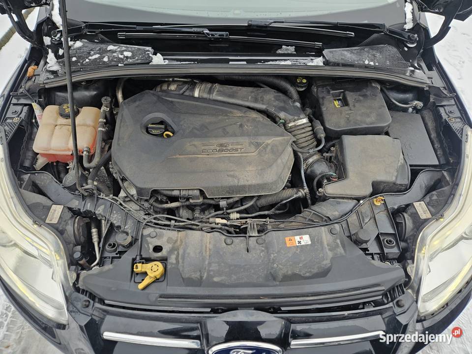 Części ford focus mk3 przedlift hatchback 16 eb benzyna Wschowa