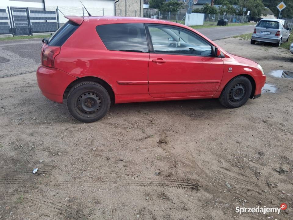 Toyota Corolla 16 Orzełek