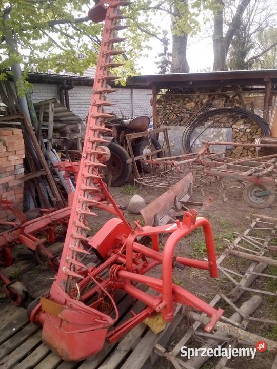 Kosiarka Osa kujawsko-pomorskie Inowrocław