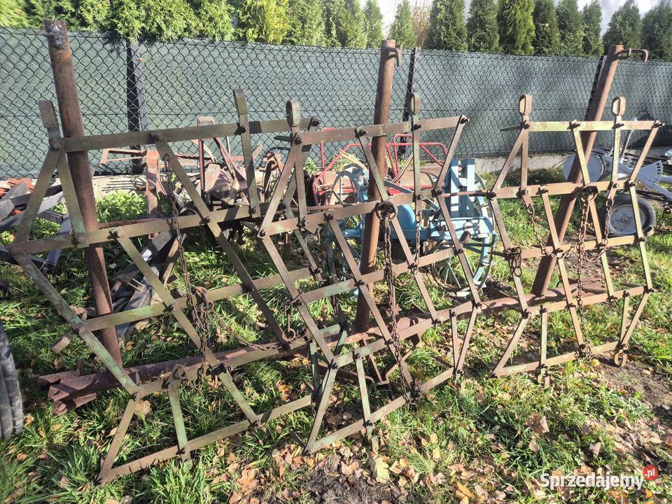 Brony trójki brona małopolskie Bucze