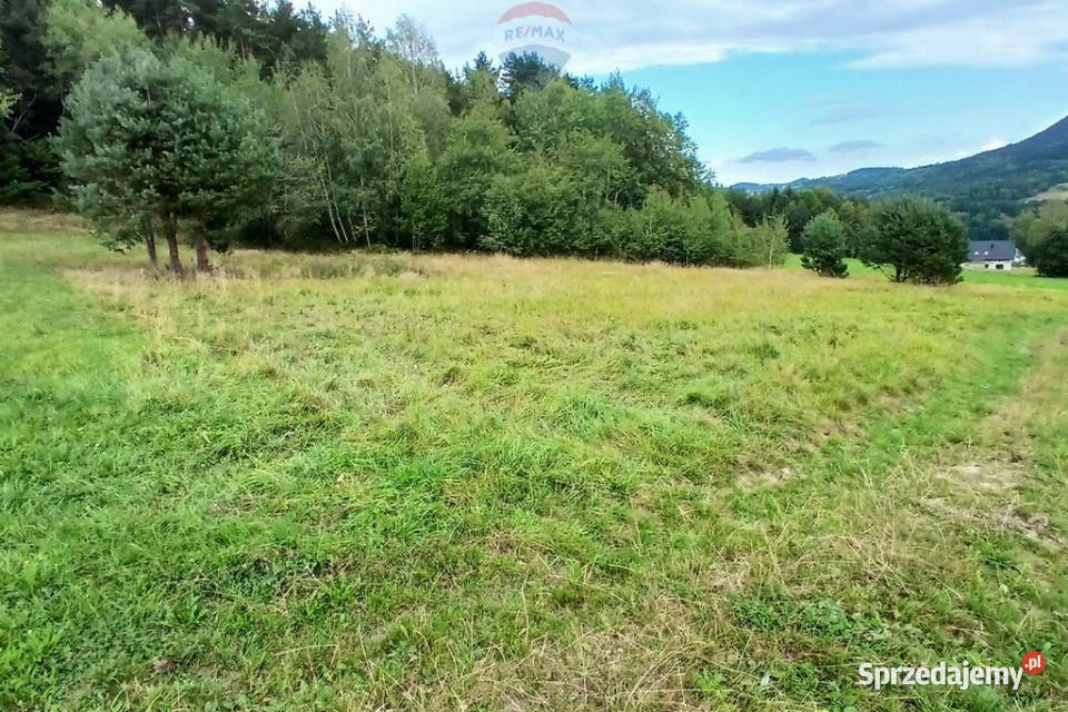 Działka 2100mwydana WZ Stara Wieś