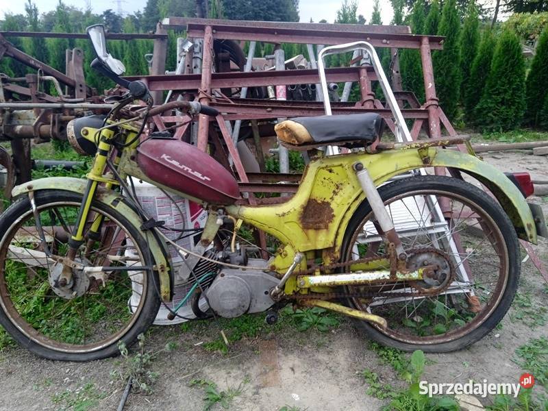 Komar komarek wielkopolskie Ślesin