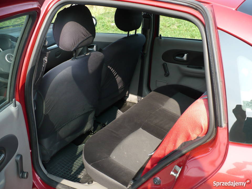 REnault Thalia 15 DCI Gliwice