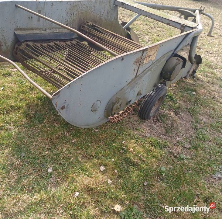 Kopaczka do ziemniaków elewatorowa Piaski