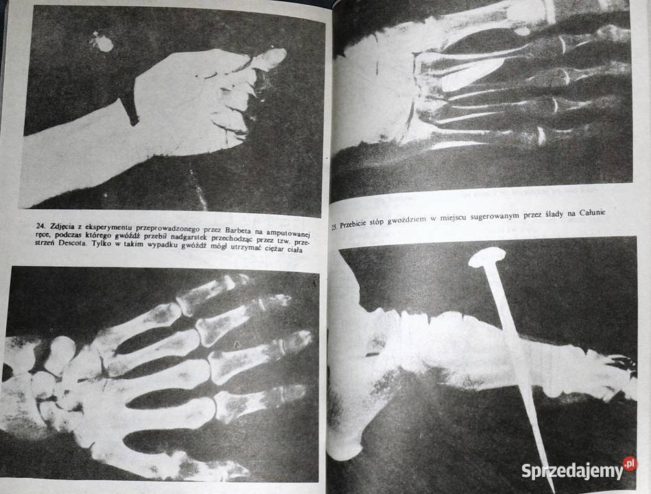 Całun Turyński Ian Wilson Chełm sprzedam