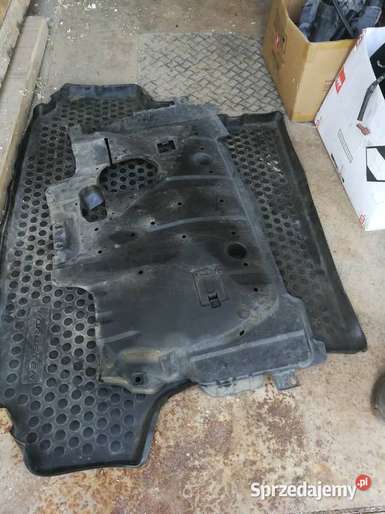 Forester sg roleta dolnośląskie Strzegom