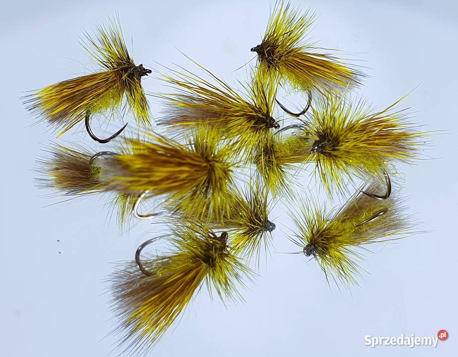 Sztuczne muchy suche chruściki dolnośląskie Leśna sprzedam