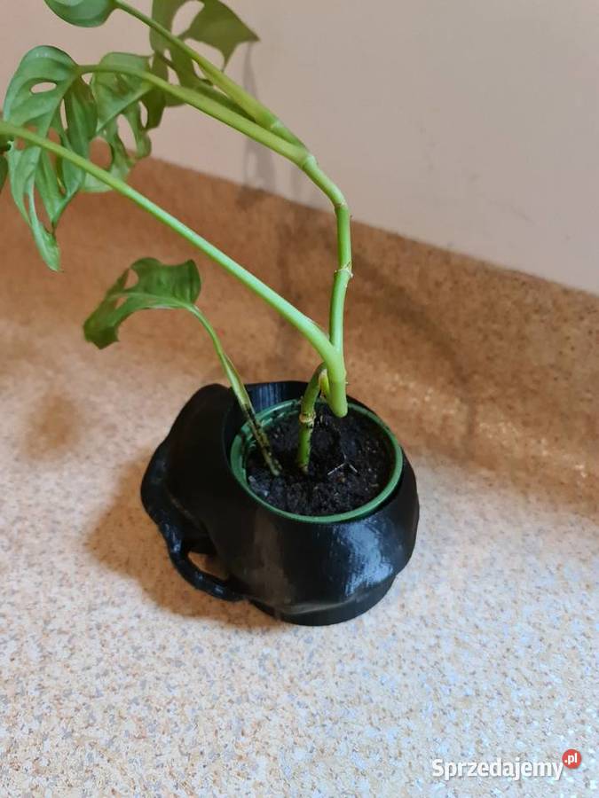 Doniczka osłonka czaszka głowa Radom sprzedam