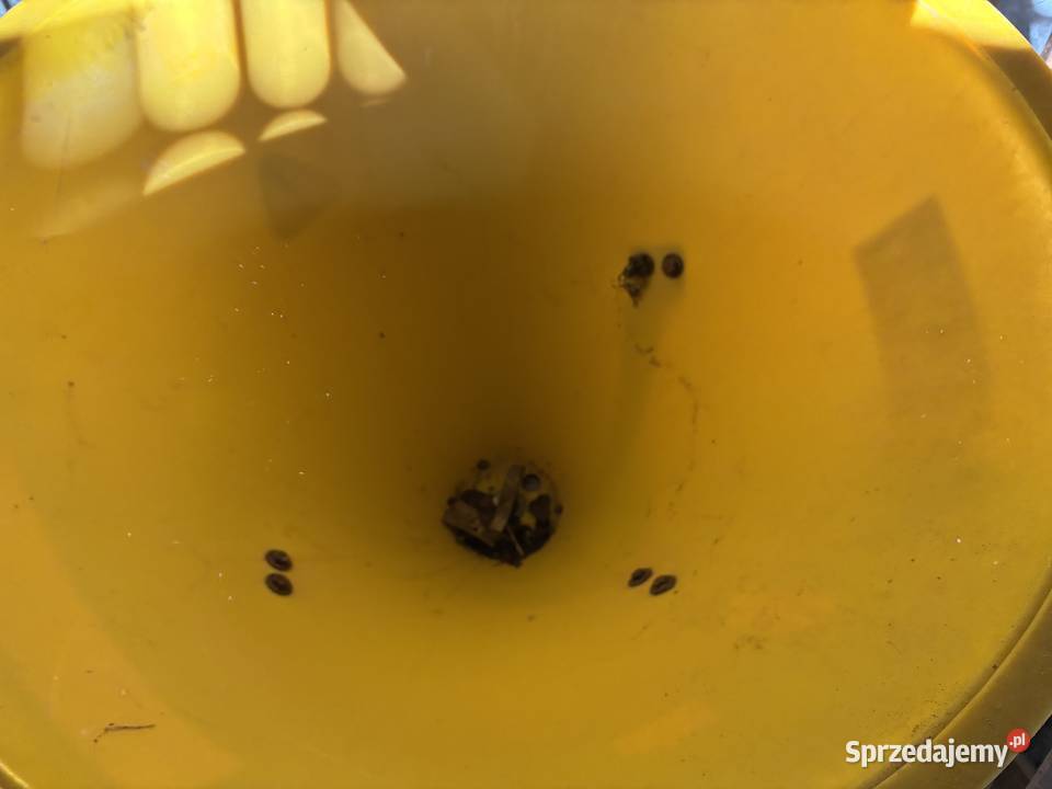 Wysiewach nawozu LEJ Robertów