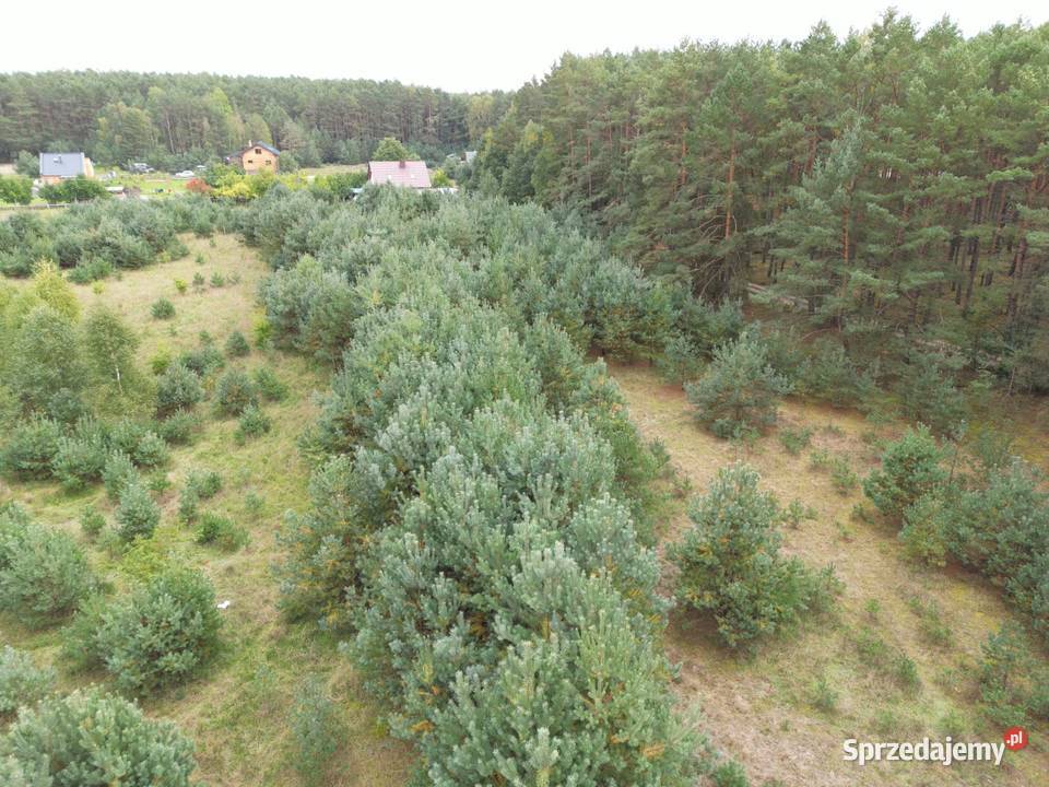 Sprzedam Działki Dąbrowa gmina Kuślin