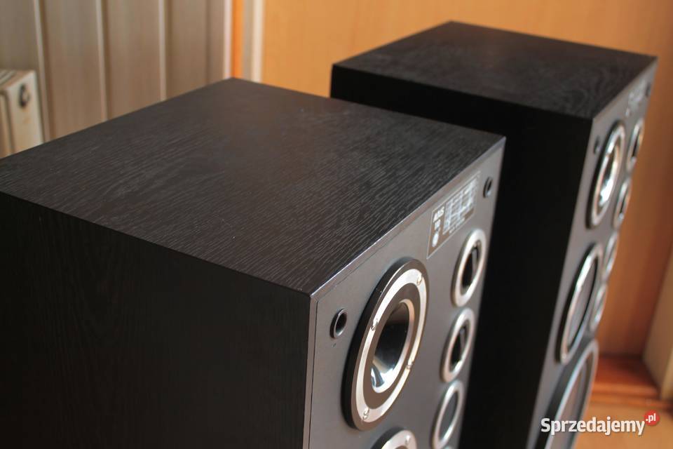 Kolumny Altus 110 Tonsil Stan Oryginał Toruń