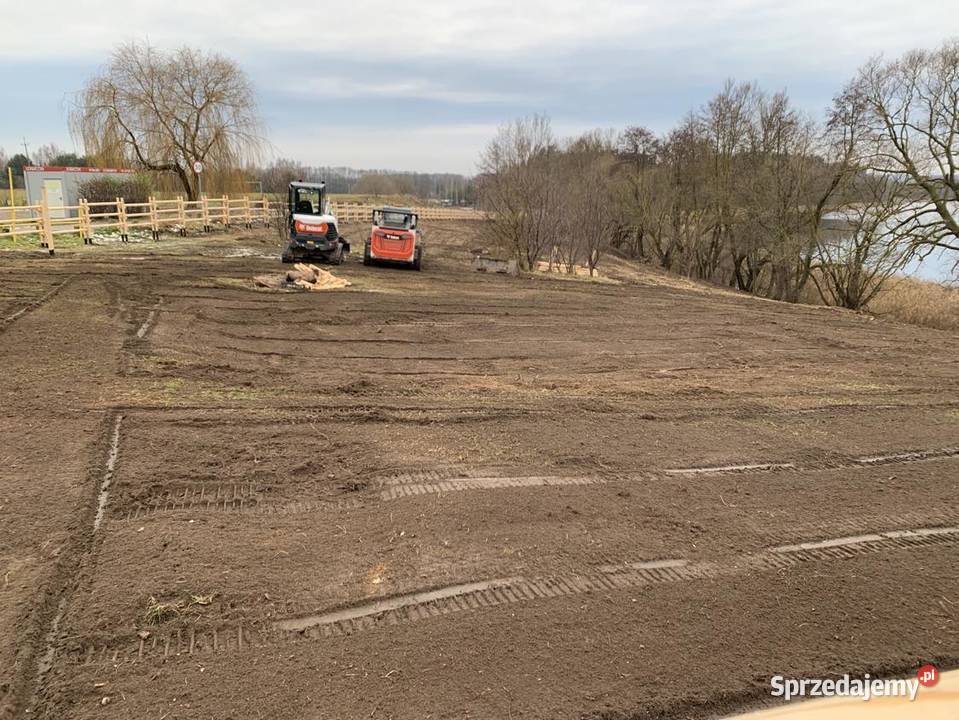 Mulczowanie nieużytków wycinka drzew i krzewów Gdańsk