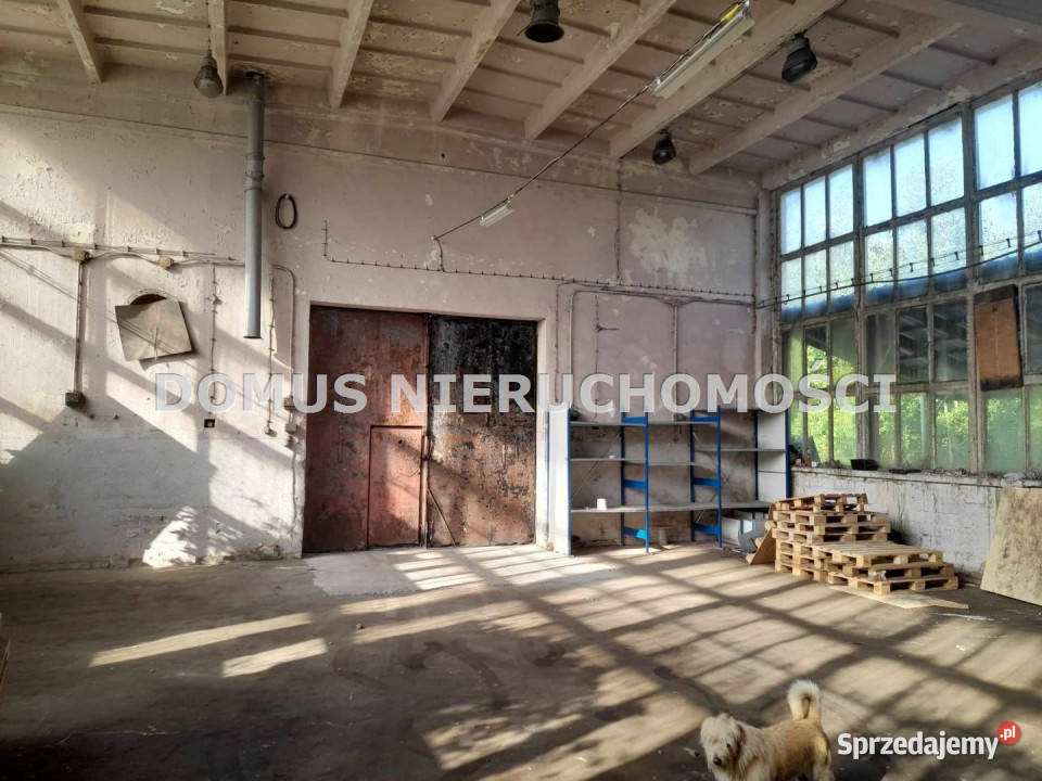 Wynajmę lokal 500m2 Jeżów