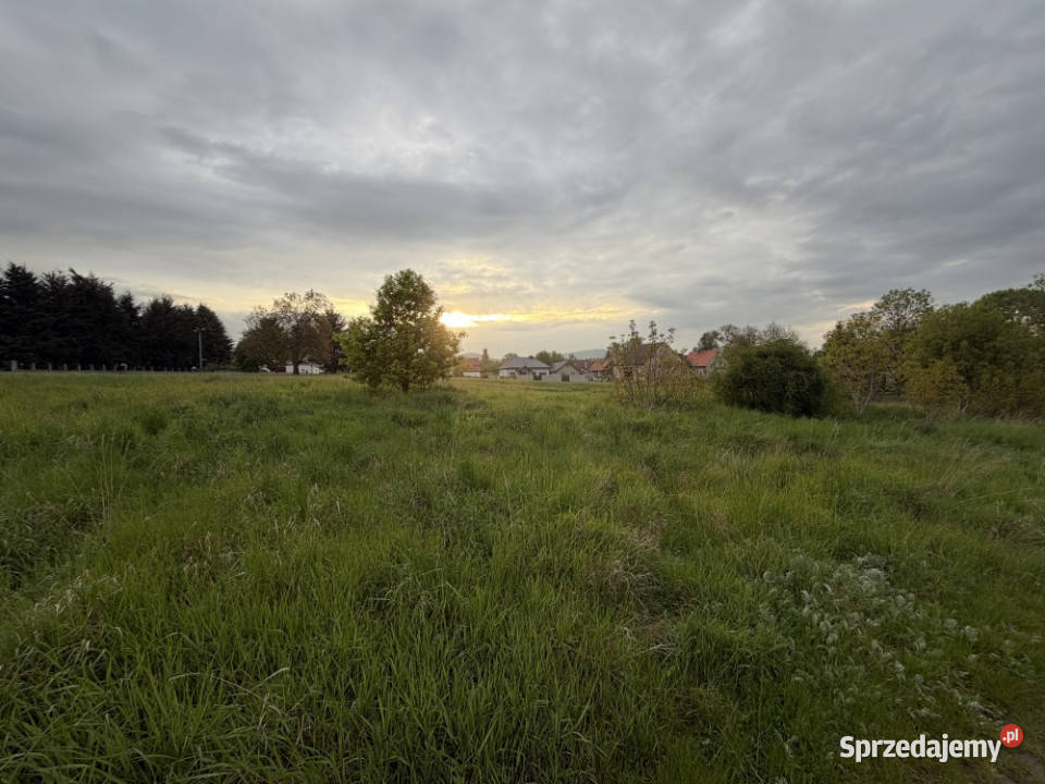 Działka z widokiem na Ślężę S8 Grunty i działki Oleszna