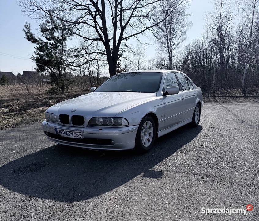BMW 525D E39 163 Rok produkcji 2003 Zgorzelec