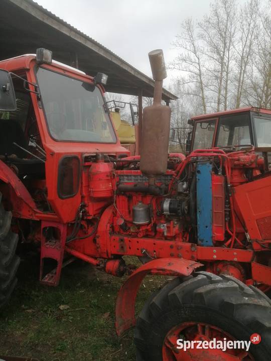 silnik D240 mtz belarus Części i osprzęt rolniczy Potęgowo
