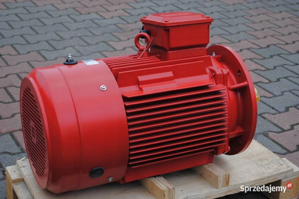 Silnik elektryczny kołnierzowy 22kw 1465obrmin lubuskie Kargowa