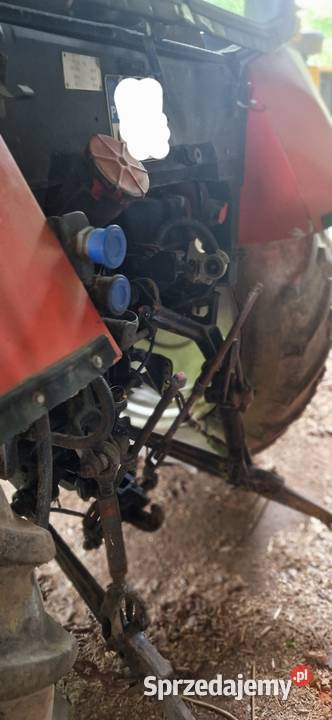 Ciągnik MTZ z turem bass trima Ładowacz czołowy warmińsko-mazurskie Pieniężno