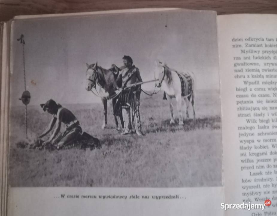 Mały Bizon Arkady Fiedler klasyk 1953 Głogów sprzedam