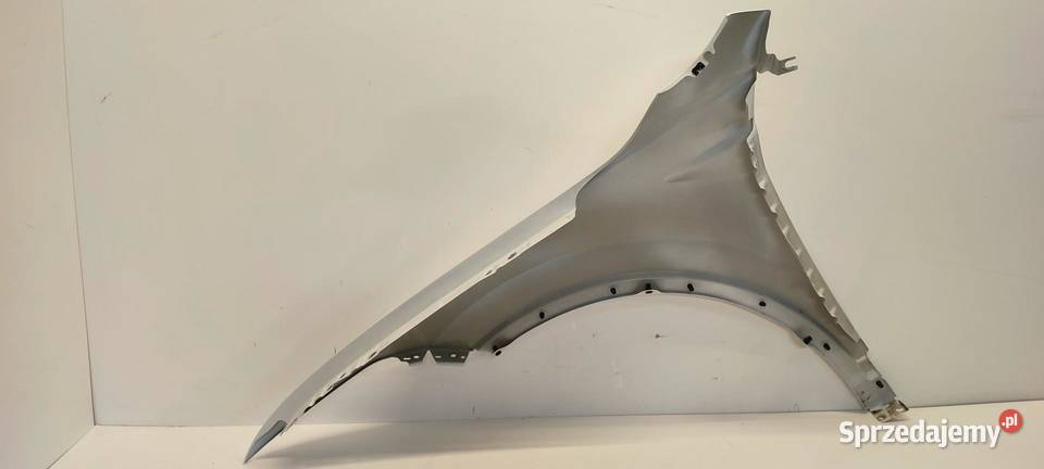 TIGUAN ALLSPACE BŁOTNIK PRAWY PRZÓD LC9A 2024 sprzedam