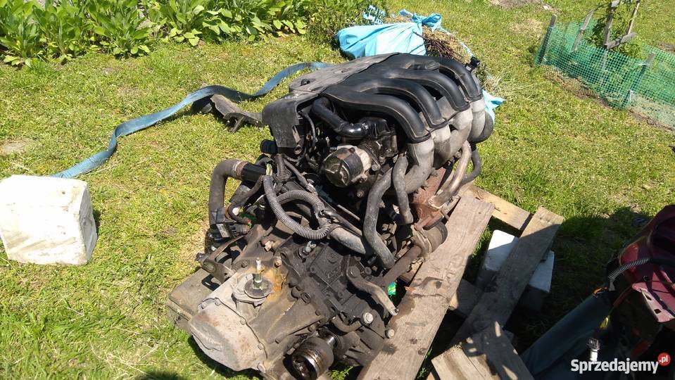 Sprzedam silnik peugeot 206 19d podkarpackie Leżajsk