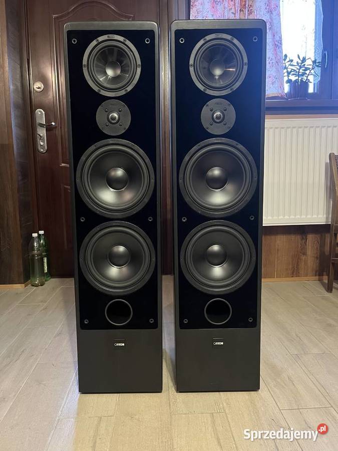 Canton Ergo SCL kontroler Unit Laskowa sprzedam