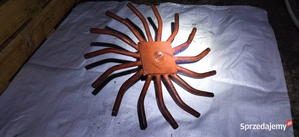 Gwiazda nagarniacza Neptun Świdnica Polska