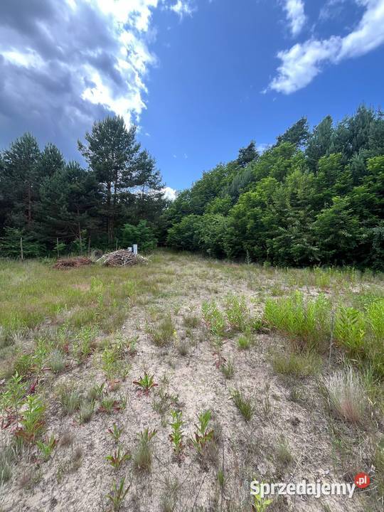 Działka budowlana 29 arów z pozwoleniem na Jelna