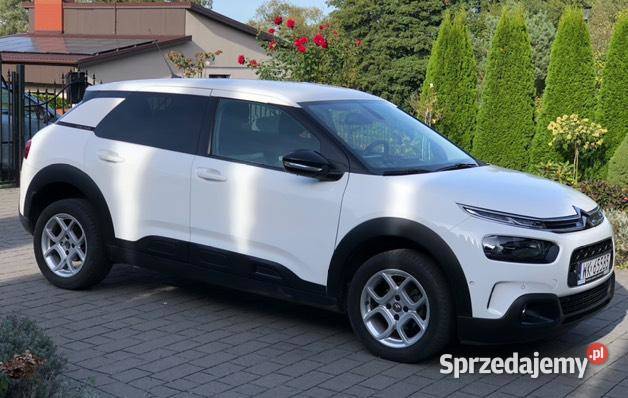 Citroen C4 cactus Psie Głowy