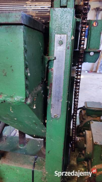 Grubościówka heblarka Chomęciska Duże