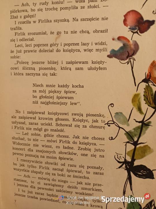 Solski Pies który grał na gitarze książki Rok wydania 1963 Warszawa sprzedam