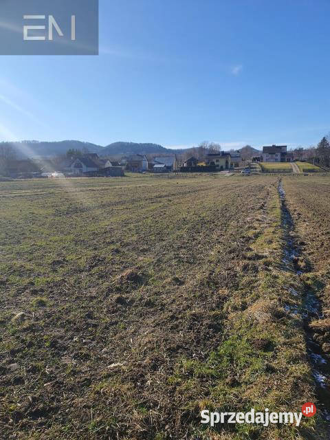 Grunt 3100m2 Wysoka Strzyżowska 160m Sprzedaż