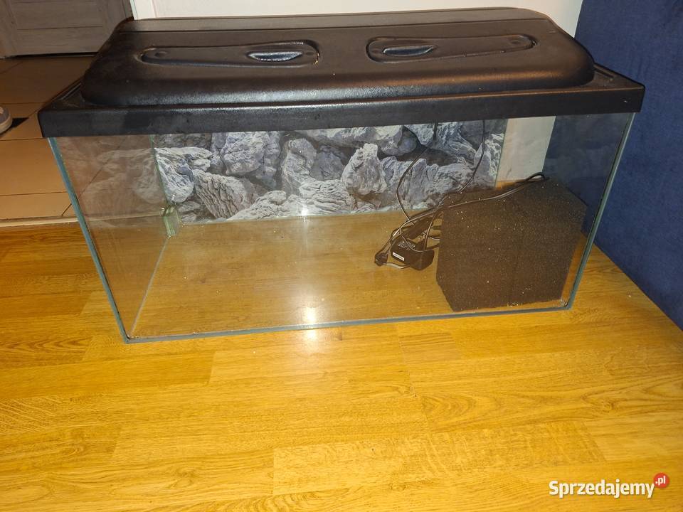 Sprzedam akwarium optic white z pokrywą Warszawa sprzedam